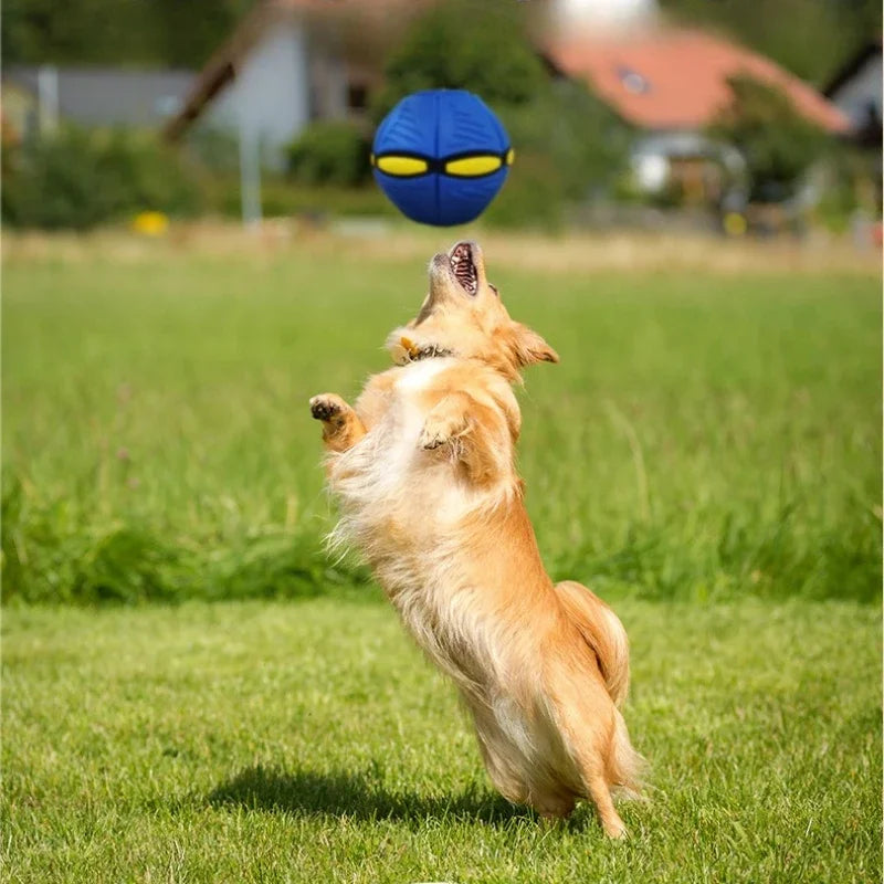 Pelota Frisbee Mágica para Perros