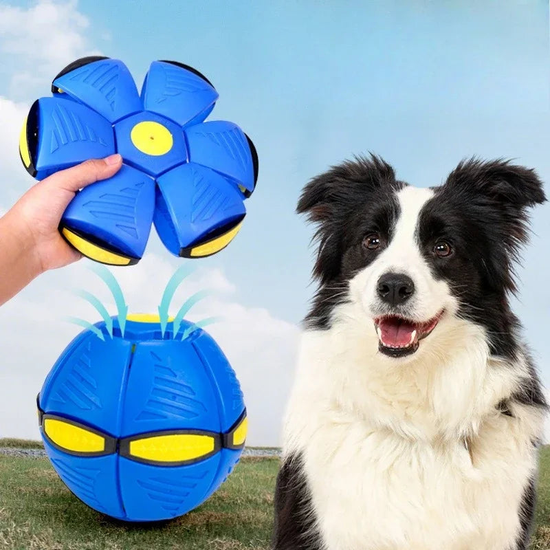 Pelota Frisbee Mágica para Perros