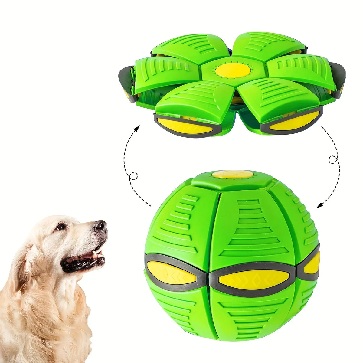 Pelota Frisbee Mágica para Perros